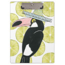 Recherche de toucan Oiseau