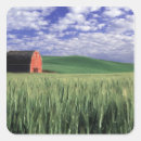 Search for barley stickers Field