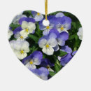 Search for pansy ornaments Purple