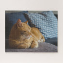 Recherche de mignon chat puzzles Gingembre