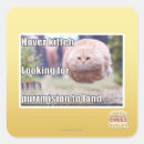 Search for hover stickers I can has cheezburger