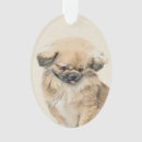 Search for pekingese ornaments Puppy