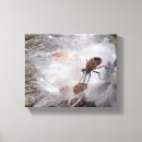 Search for bug canvas prints Nature