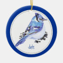 Search for blue jay ornaments Watercolor