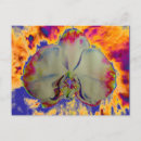 Search for funky abstract postcards Psychedelic