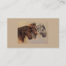 Recherche de poulain cheval cartes visite Colt