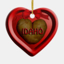 Search for idaho state ornaments America