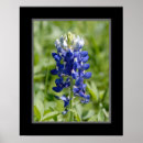 Search for 16x20 art Floral