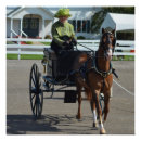 Recherche de chariots posters Pour tous