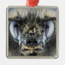 Search for bumblebee ornaments Insect