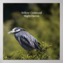 Recherche de couronnes posters Oiseaux
