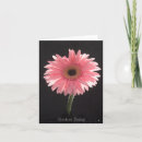 Recherche de gerber rose vœux cartes Marguerite