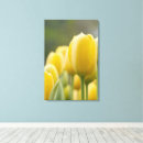 Search for standing canvas prints Beautiful