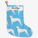 Recherche de argentino Dog