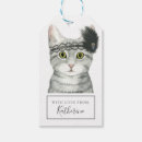 Recherche de chat bijoux Félin