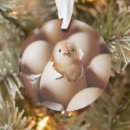 Search for chick ornaments Farm animal