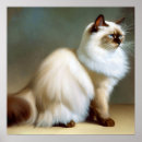 Search for birman cat posters Feline