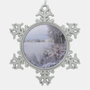 Search for storm ornaments Nature