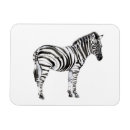 Recherche de zebra magnete Zèbre