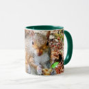 Search for cute squirrel pictures mugs Squirrels