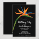 Recherche de oiseaux tropicaux invitations Tropical