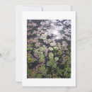 Search for lilypad invitations Lilies