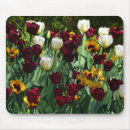 Search for red tulip electronics Flower