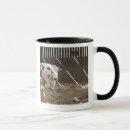 Recherche de intégrale tasses Agriculture