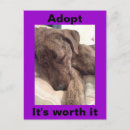 Search for plott hound Brindle
