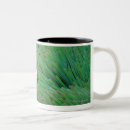 Search for clown fish mugs Nature