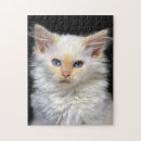 Recherche de siamois puzzles Animal familier