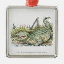 Search for alligator ornaments Animal