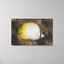 Search for wild one canvas prints Outdoors