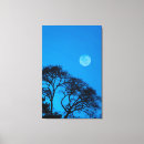 Search for silhouete art Sky