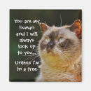 Search for funny human magnets Cat