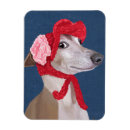 Search for greyhound magnets Animals