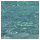 Search for surfing fabric Tropical
