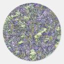 Search for leaf background stickers Tree