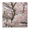 Recherche de fleurs de cerisier carreaux Arbre