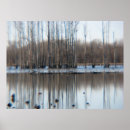 Search for pond reflection posters Photography