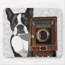 Search for boston terrier mousepads Animals