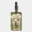 Recherche de llama accessories Vacances