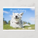 Search for customizeable birthday postcards White