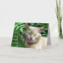 Recherche de gâteau chat Orange