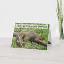 Search for funny squirrel birthday cards Humour