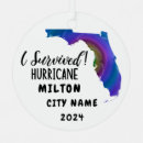 Search for florida ornaments Hurricane milton