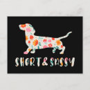 Recherche de chien teckel cartes postales Floral