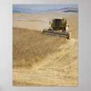 Search for combine harvester posters Agriculture