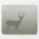 Recherche de cerfs communs électronique Gris