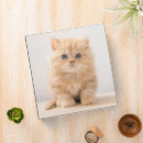 Search for purebred binders Pet